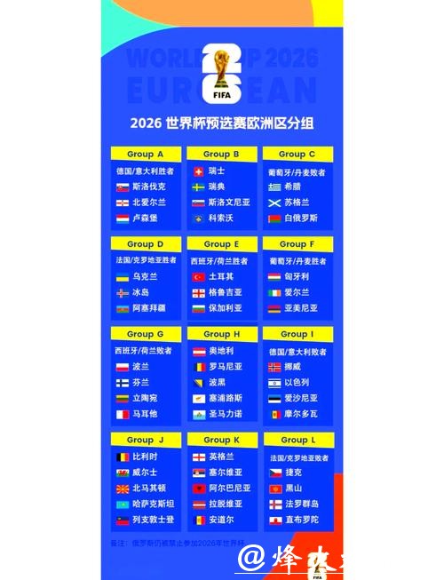 2026年世界杯比赛结果全面分析报告